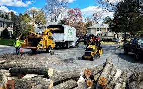 Best Tree Preservation Services  in Healdton, OK